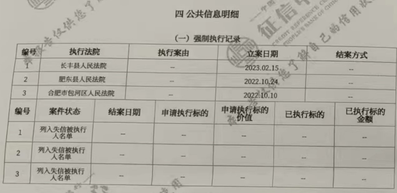 征信報(bào)告，強(qiáng)制執(zhí)行